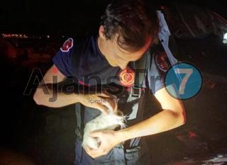 Aracın motoruna sıkışan yavru kedi kurtarıldı