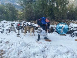 Kaş Belediyesi ekipleri kar yağışı sonrası sokak hayvanlarına mam..