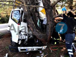Kargo aracı ağaca çarptı: 1 yaralı