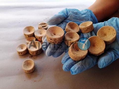 Patara’da kazı çalışmalarında köpekbalığı ve vatoza ait omurgalar tespit edildi