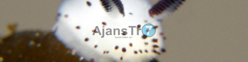 Milli Takım Kaş’ta belli olacak